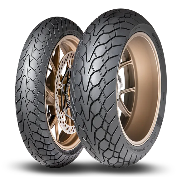 Dunlop Mutant 160/60ZR17 (69W) TL M+S