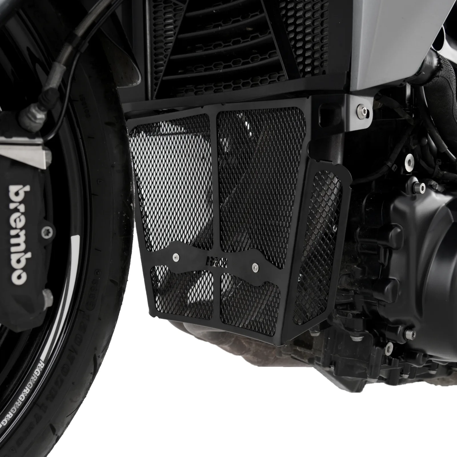 R&G Предпазна решетка за колектори за BMW F 900 R (2020+)