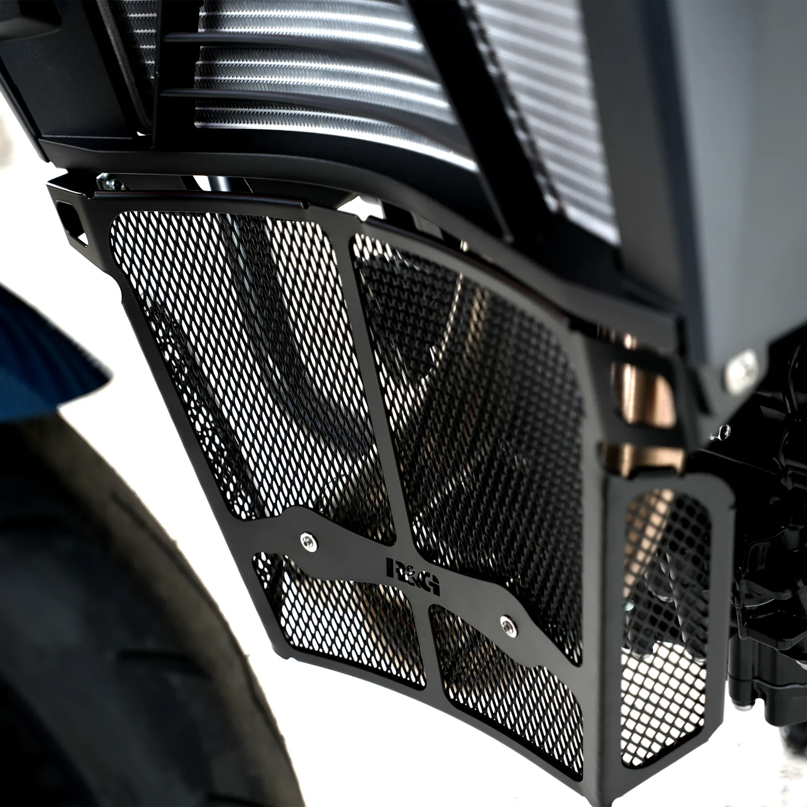 R&G Предпазна решетка за колектори за BMW F 900 R (2020+)