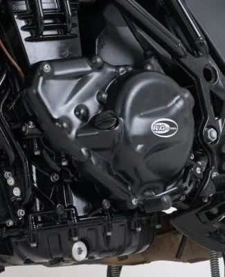 R&G Протектор за двигател за BMW F 800 GS (2008–2018), F 650 GS (2008–2015), F 700 GS (2013–2018)